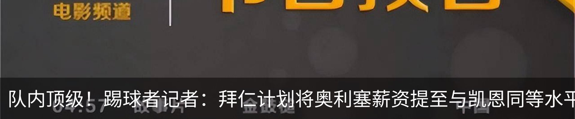 新闻动态